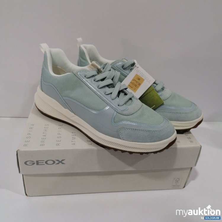 Artikel Nr. 786764: Geox  Sneaker D PG1X 