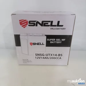 Auktion Snell Vrla Battery 