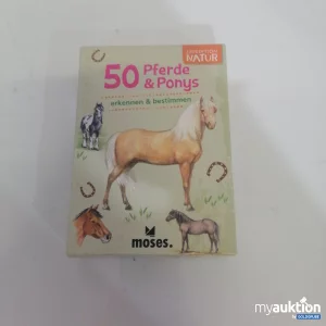 Auktion Moses 50 Pferde & Ponys