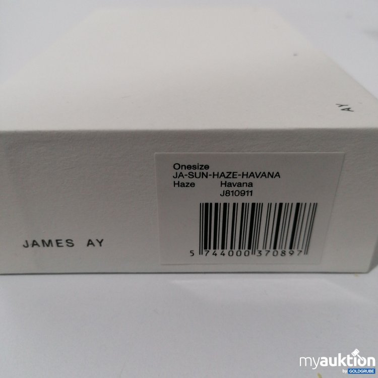 Artikel Nr. 515782: James Ay Haze Sonnenbrille C60018