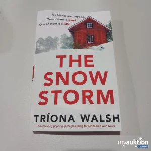 Artikel Nr. 773784: "The Snow Storm" von Tríona Walsh