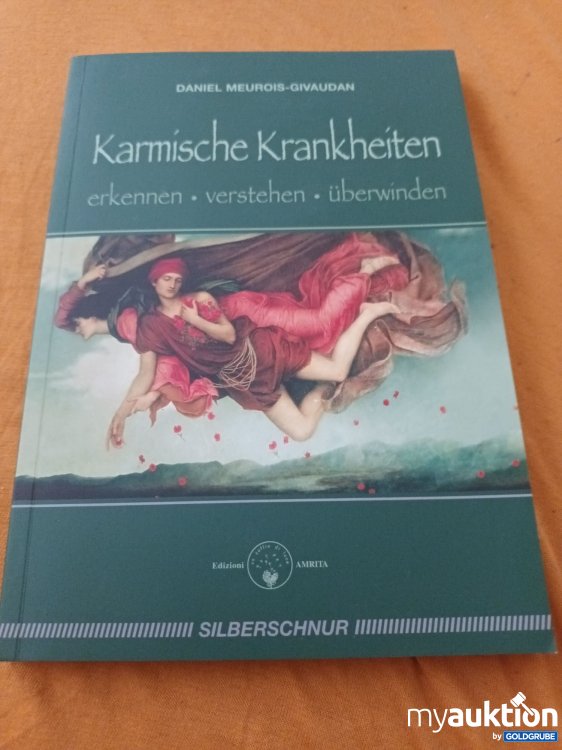 Artikel Nr. 347791: Karmische Krankheiten erkennen verstehen überwinden