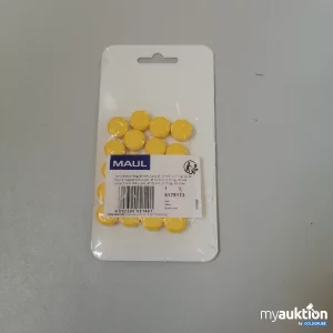 Auktion Maul Facetterand Magnete (20 Stück)  