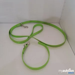 Auktion Hundeleine mit Halsband 