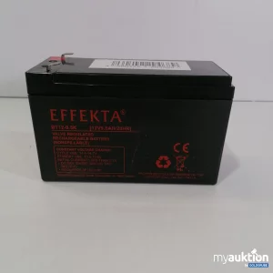 Auktion Effekta Akku BT12-9.5K 