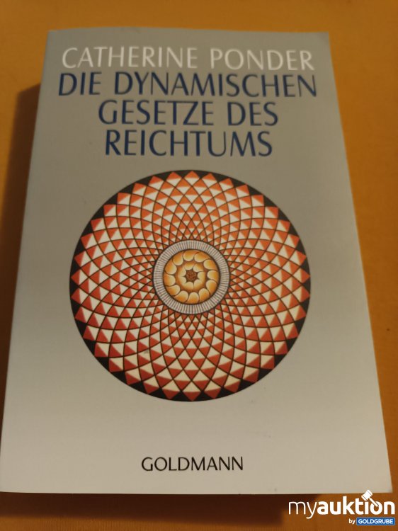 Artikel Nr. 347851: Die dynamischen Gesetze des Reichtums