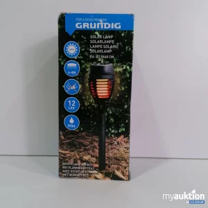 Auktion Grundig Solar Lampe 