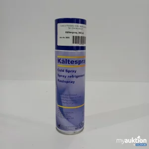 Artikel Nr. 786870: Kältespray 300ml