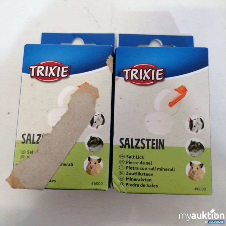 Artikel Nr. 770880: Trixi Salzstein 2x54g 