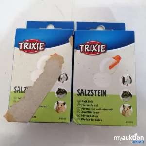 Auktion Trixi Salzstein 2x54g 