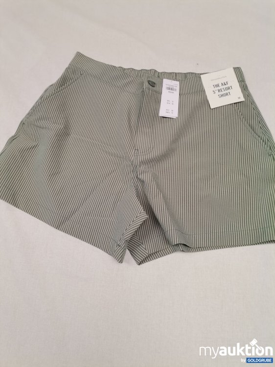 Artikel Nr. 741881: Abercrombie and Fitch Shorts 