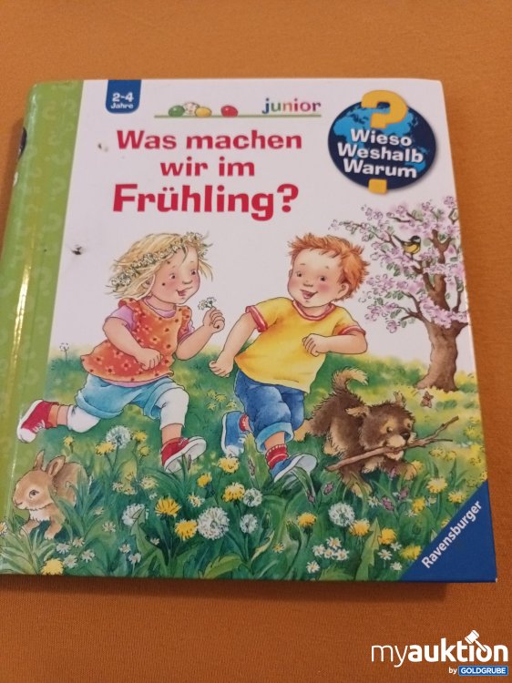 Artikel Nr. 347902: Wieso? Weshalb? Warum?, Was machen wir im Frühling?