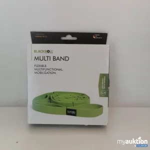 Auktion Blackroll Multi Band 270cm