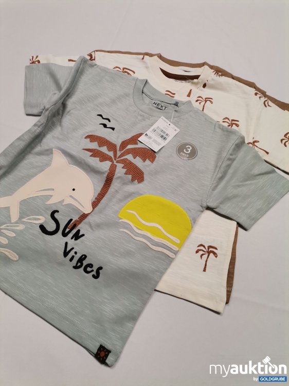 Artikel Nr. 774915: Next Shirts