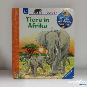 Auktion "Tiere in Afrika Kinderbuch"