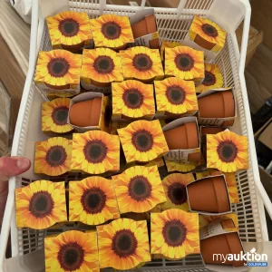 Auktion Sonnenblumen