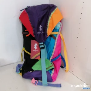 Auktion Cotopaxi Tarak 20L Backpack 