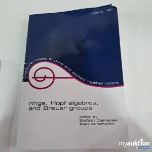 Artikel Nr. 794993: Rings, Hopf algebras, and Brauer groups volume 197 